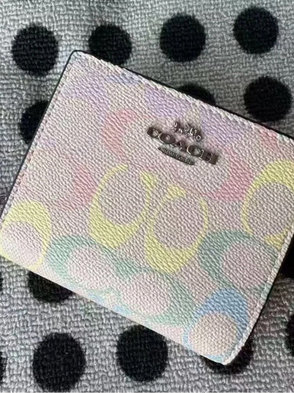 Coach Wallet In Rainbow Signature Canvas CDD11